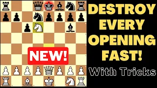 Coolest Opening Tricks To Beat Everybody Very Fast!