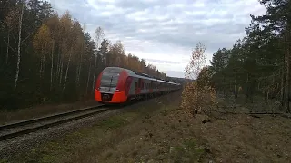 Поезд  "Ласточка" Санкт-Петербург-Печоры (35-ый, 33-ий км от Пскова). 19.10.2019