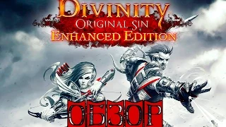 Небольшой обзор Divinity: Original Sin - Enhanced Edition