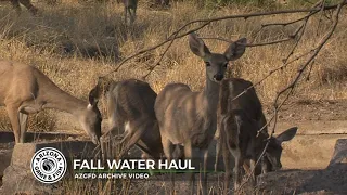 Fall Water Haul