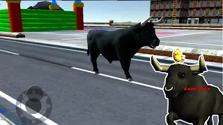 el toro y el pollito aventurero de la ciudad que buscan un su auto bochinchero.