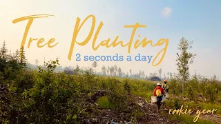 this is what tree planting is like | A season with Brinkman in Ontario