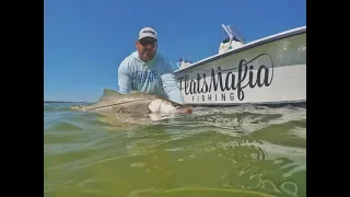 Flats Mafia (Season 2) ep1 -  Snook fishing in Tampa Bay