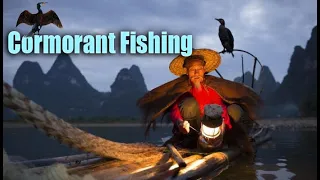 Cormorant Fishing - Yangshuo China || Amazing China