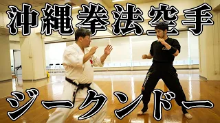 Togo Ishii Vs. The Legendary Master of Okinawa Kempo Karate, Yoshitomo Yamashiro!