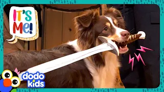 This Dog Loves Her Toy Sword! | Dodo Kids | It's Me!