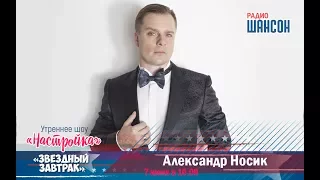 «Звездный завтрак»: Александр Носик