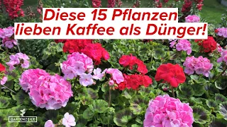 Diese 15 Pflanzen kannst du mit Kaffee düngen