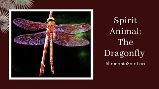 Animal Spirit Guide: The Dragonfly (Shamanic Power Animal). Dragonfly Symbolism