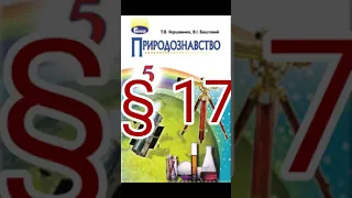 § 17 "Зорі та сузір'я" //5 клас Природознавство//Коршевнюк