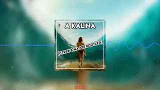 A kalina (remix)