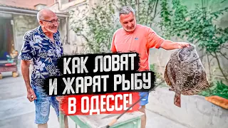 Как ловят и жарят рыбу в Одессе. Камбала, луфарь, сарган, бычок