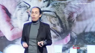 Understanding Cat Behavior: Dr. Sandra Lyn