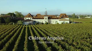 Château Angélus, Saint-Émilion: Full interview with Stéphanie de Boüard-Rivoal