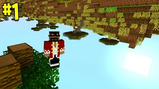 Beating Minecraft But It's Upside Down (#1)