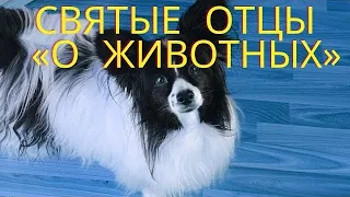 Святые отцы о животных