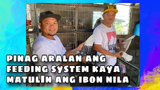 FEEDING SYSTEM NG RED BARAKO LOFT- EDMAR CRUZ & DANIEL CRUZ |Reggie Cruz Loft & Aviary