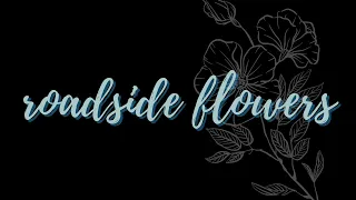 DROELOE - Roadside Flowers (ft. Iris Penning) // S L O W E D