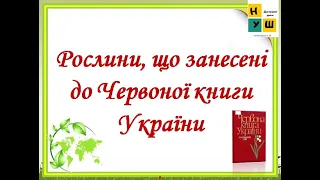 Рослини Червоної книги України (ІІ частина   відео" Червона книга України")