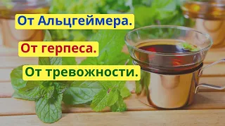 Помогает от болезни Альцгеймера, от вируса герпеса, от тревожности и бессонницы! Мелисса.