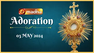 🔴 LIVE 03 MAY 2024 Adoration 11:00 AM | Madha TV