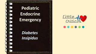 Diabetes Insipidus | Pediatric Endocrine Snippet |@LittleCriticos