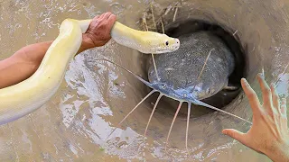 INACREDITÁVEL essa TÉCNICA de PESCA - Usando uma cobra para pegar peixes no buraco