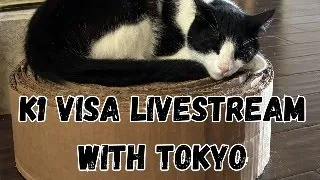 K1 visa Livestream.  Work Permit Approved in 46 Days !