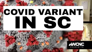 First two cases of the South African COVID variant are detected in South Carolina