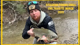 Crooked Creek Erie PA Steelhead Fishing Feb 2023