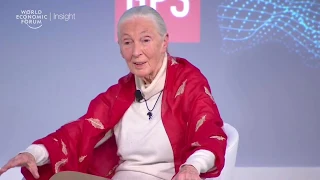 Jane Goodall: I Do Not Believe In Aggressive Activism | Forum Insight