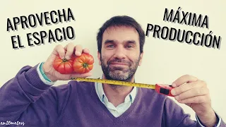 Distancia CORRECTA entre CULTIVOS: marco de plantación y asociaciones || en20metros