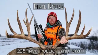 225" Public land giant mule deer! | Final Round Film