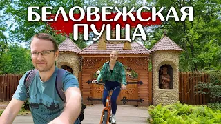 Беловежская пуща. Катаемся на велосипедах по национальному парку Беларуси.