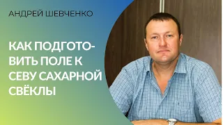 Как подготовить поле к севу сахарной свёклы