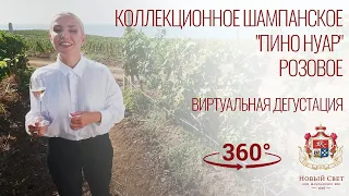 ВИДЕО 360 ГРАДУСОВ Коллекционное шампанское "Пино Нуар" розовое ВИРТУАЛЬНАЯ ДЕГУСТАЦИЯ #360video