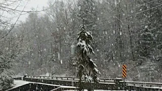 Frank Zappa in a snowstorm