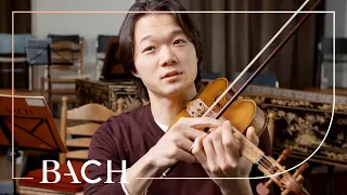 Sato on Bach St Matthew Passion BWV 244 | Netherlands Bach Society