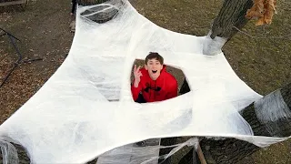 2 Story Saran Wrap Tree House