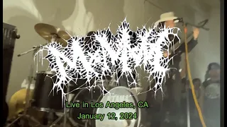 Mxmxm live in Los Angeles 2024