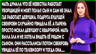 Мать думала что её невестка работает уборщицей и моет полы! Сын и сам не знал где работает девушка..