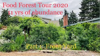 From sod and rocks to an abundant food forest!! Tour our permaculture paradise- A garden tour