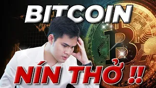 CẢNH BÁO BITCOIN: BULLTRAP !!! Nên Tránh Đầu Tư Altcoin Ở Thời Điểm Này ?