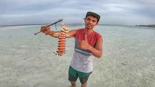 The Trap never fails for Giant Mantis Shrimp | Catch and Cook