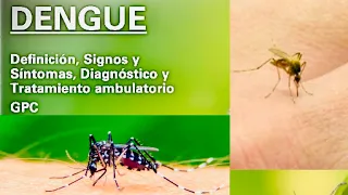 ¿Qué es el Virus del Dengue?: definición, transmisión, síntomas, diagnóstico y tratamiento