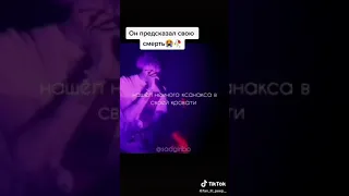 Пип предсказал свою смерть..💔