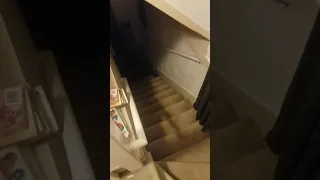 Thomas the Tank Engine gets thrown down the stairs because he sucks!!!