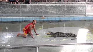 Шоу крокодилов - Crocodile show, Thailand
