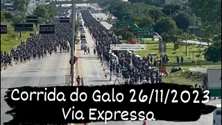 Corrida Arena MRV do Galo 26/11/2023 - Via expressa - mais de 15000 atletas 🏃‍♀️ 🏃‍♂️