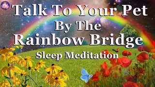 Meet Your Beloved Pet In Spirit At The 🌈 Rainbow Bridge Guided Meditation (432 Hz Binaural Beats)